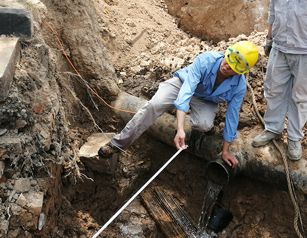 1594284732823102.jpeg 微信圖片_20200709114226.jpg