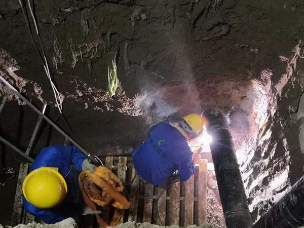 1595292259283874.jpeg b2039d89d304dc77ec09dc7b748bfa9.jpg