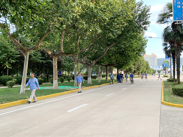 1629337485470567.jpeg ?2.jpg