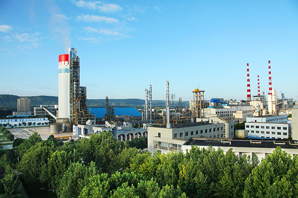 1630477889662004.jpeg IMG_0042.JPG