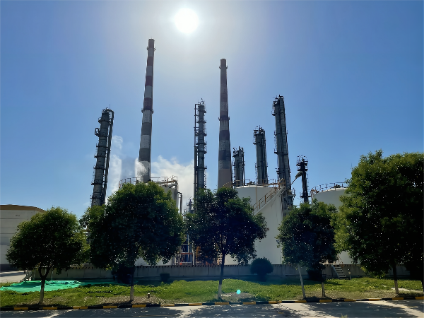 1664237088441002.png 555(1).png