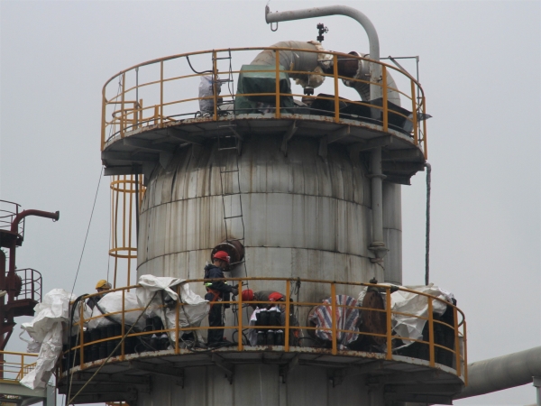 1684114315622437.jpeg IMG_0555.JPG