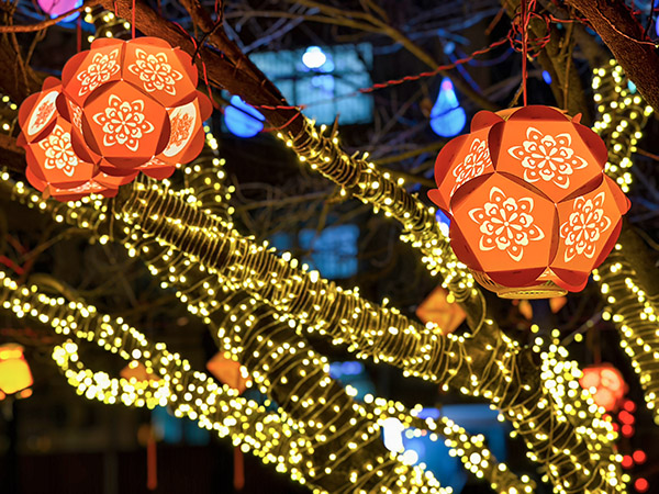 華燈璀璨    600.jpg