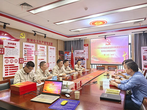 031751545625147350.jpg 2025年7月3日公司紀(jì)委對(duì)彬州聯(lián)合黨支部開(kāi)展上半年黨風(fēng)廉政建設(shè)責(zé)任制落實(shí)情況監(jiān)督檢查.jpg