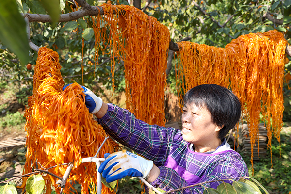 fadb26a82ed1b2c1e595c2a8dee5cd85  600.jpg