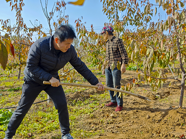 微信圖片_20251211145108_2_53   600.jpg